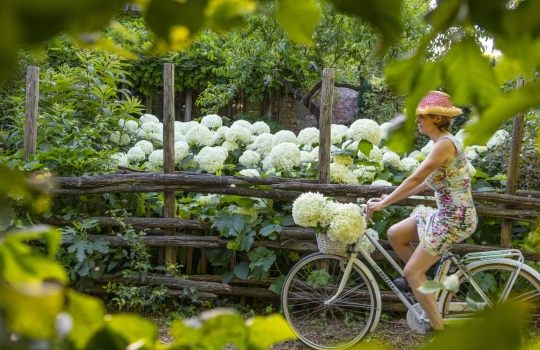 Emozioni, mostre di fiori, eventi e magia