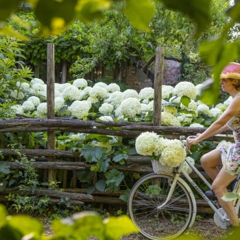 Emozioni, mostre di fiori, eventi e magia